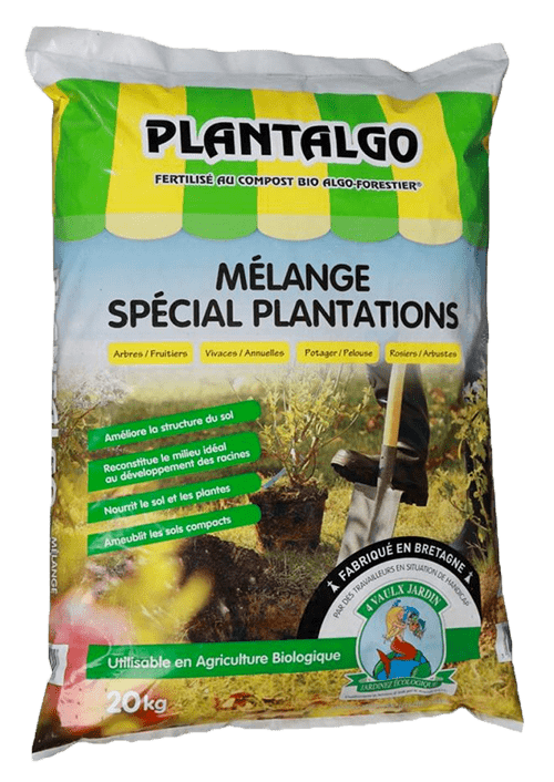 Plantalgo