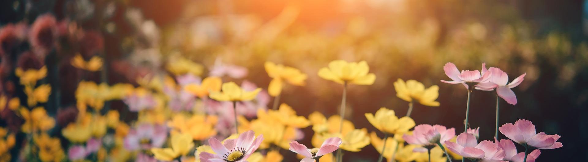 FLORALGO