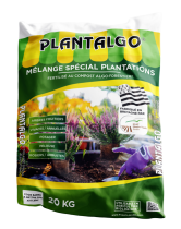 PLANTALGO